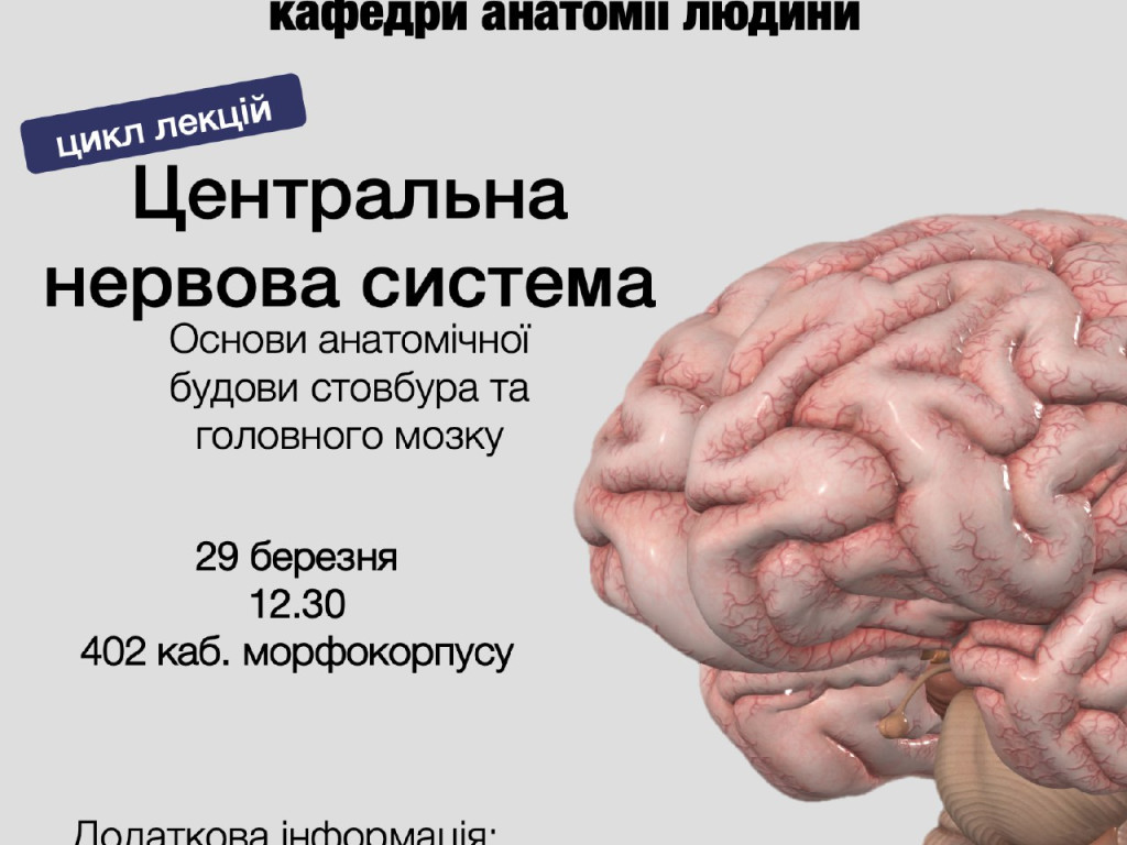 Сдудентська наукова група кафедри анатомії людини.