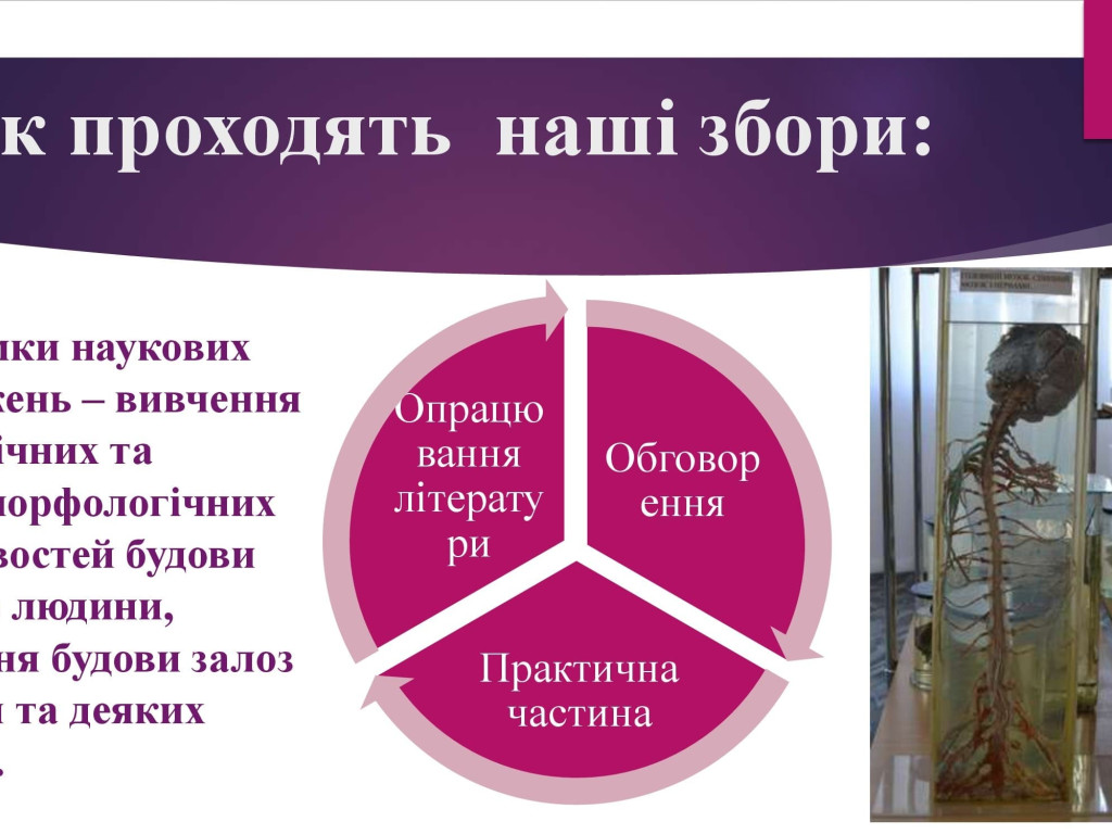 Студентська наукова група кафедри Анатомії людини