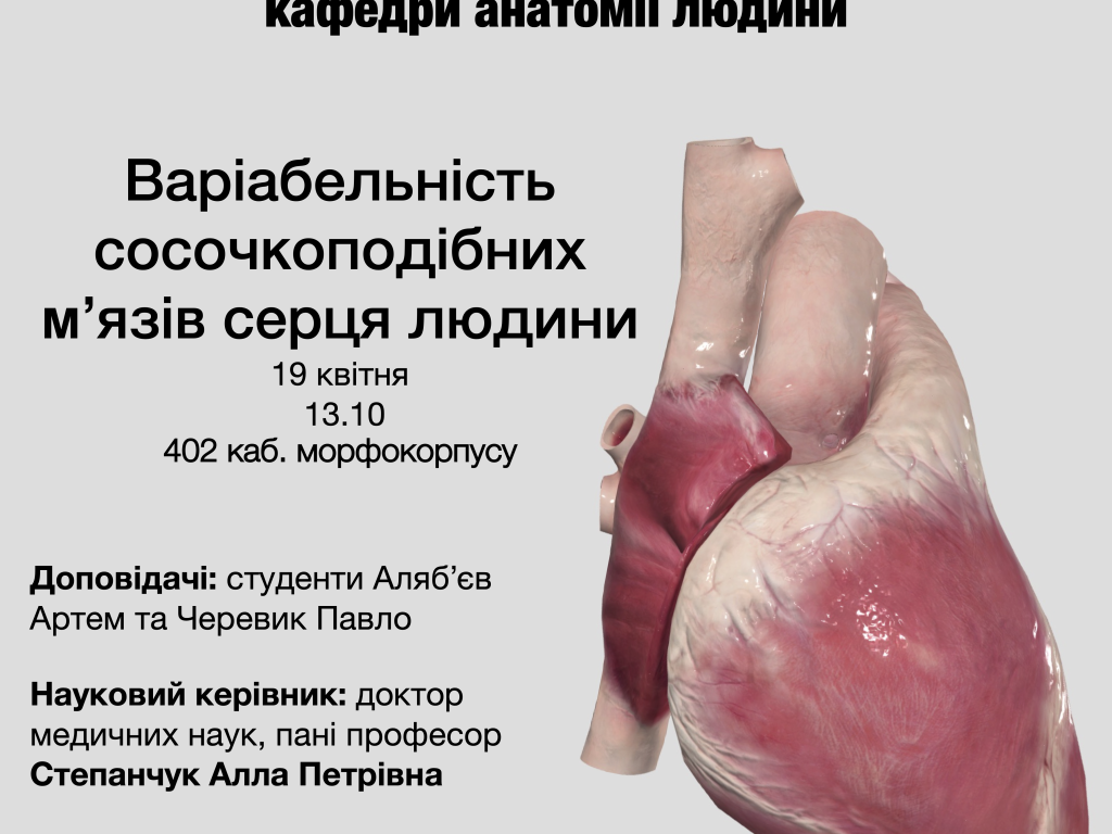 Засідання студентської наукової групи кафедри анатомії людини 19.04.2023