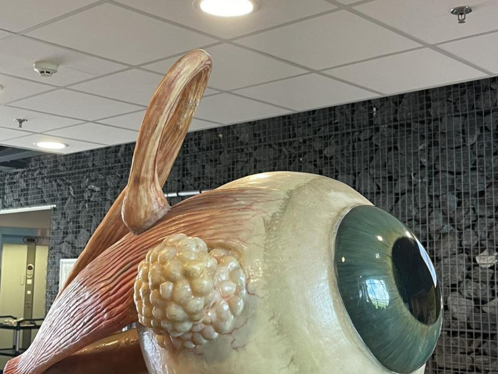 Екскурсія в Амстердамі - Corpus Museum (Угстгест)