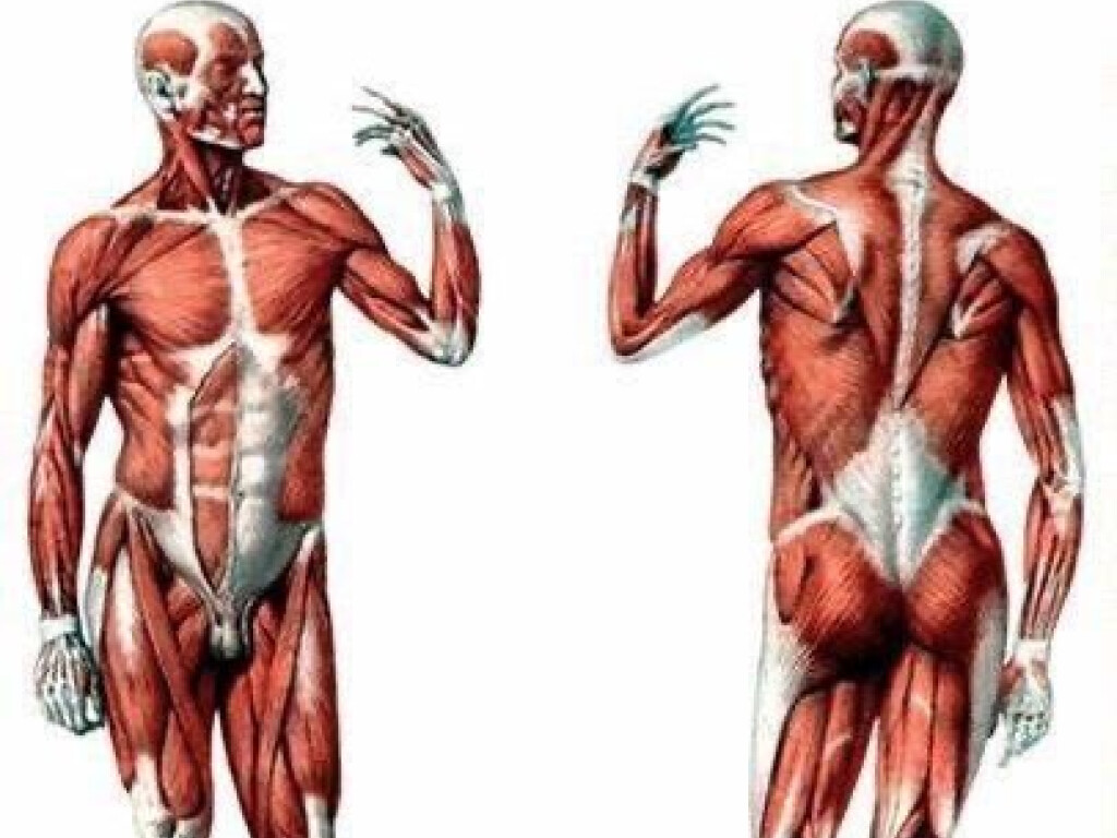 Доброго дня, шановні здобувачі освіти!