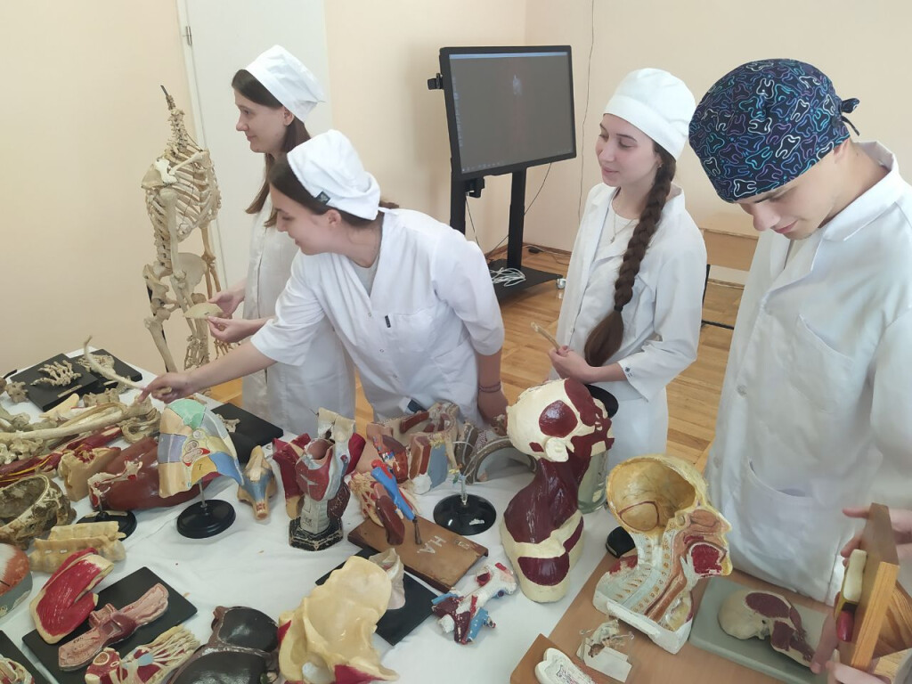 На кафедрі анатомії людини стартувала екзаменаційна сесія для здобувачів освіти ОПП «Стоматологія»