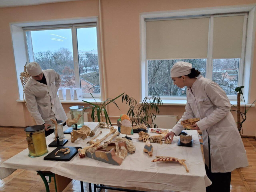 І етап Всеукраїнської студентської олімпіади з навчальної дисципліни «Анатомія людини»