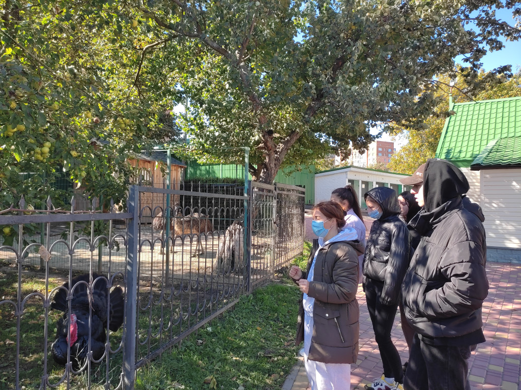 Студенти ПДМУ і брати наші менші.