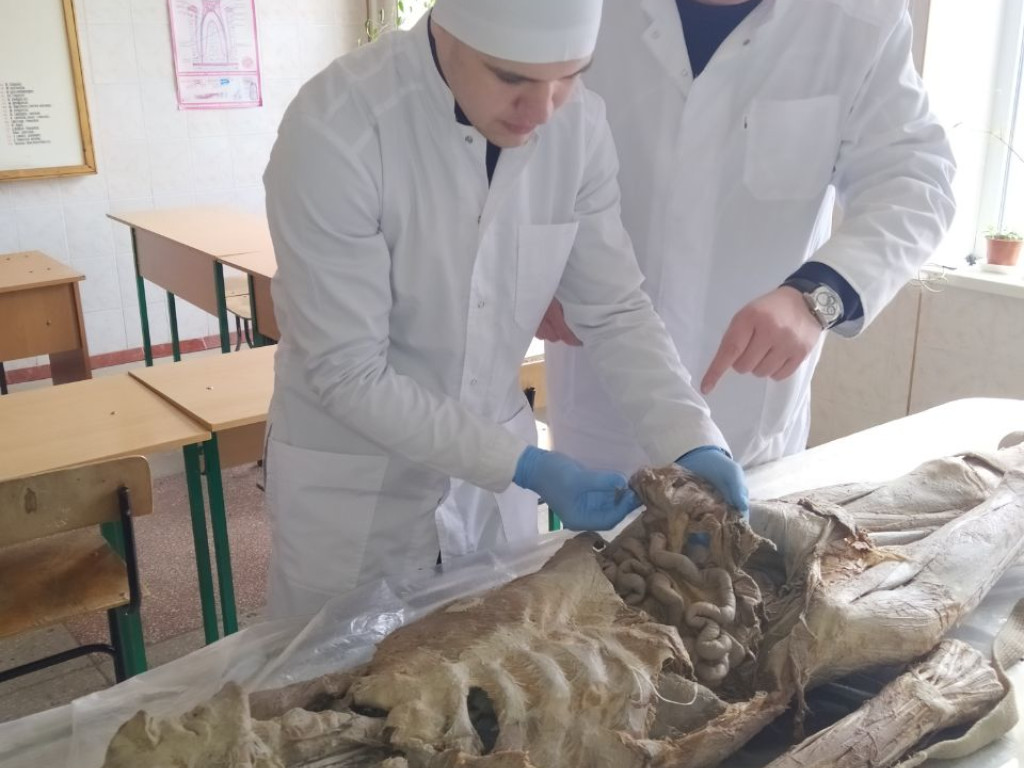 І етап Всеукраїнської студентської олімпіади  з навчальної дисципліни «Анатомія людини»