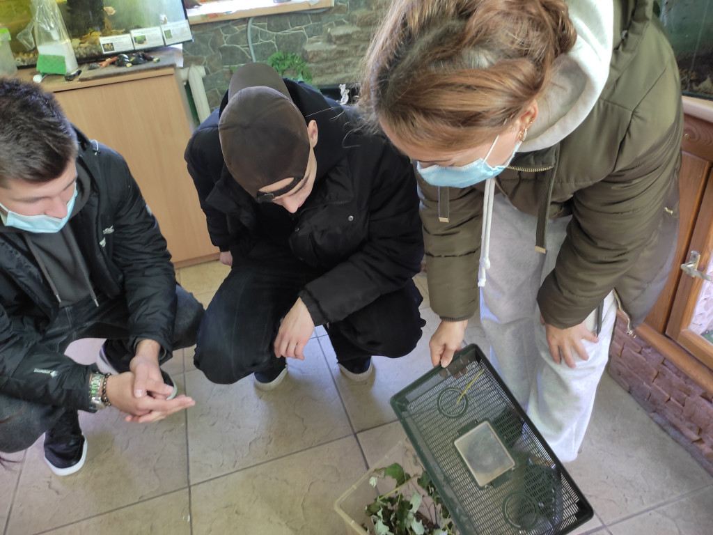 Студенти ПДМУ і брати наші менші.