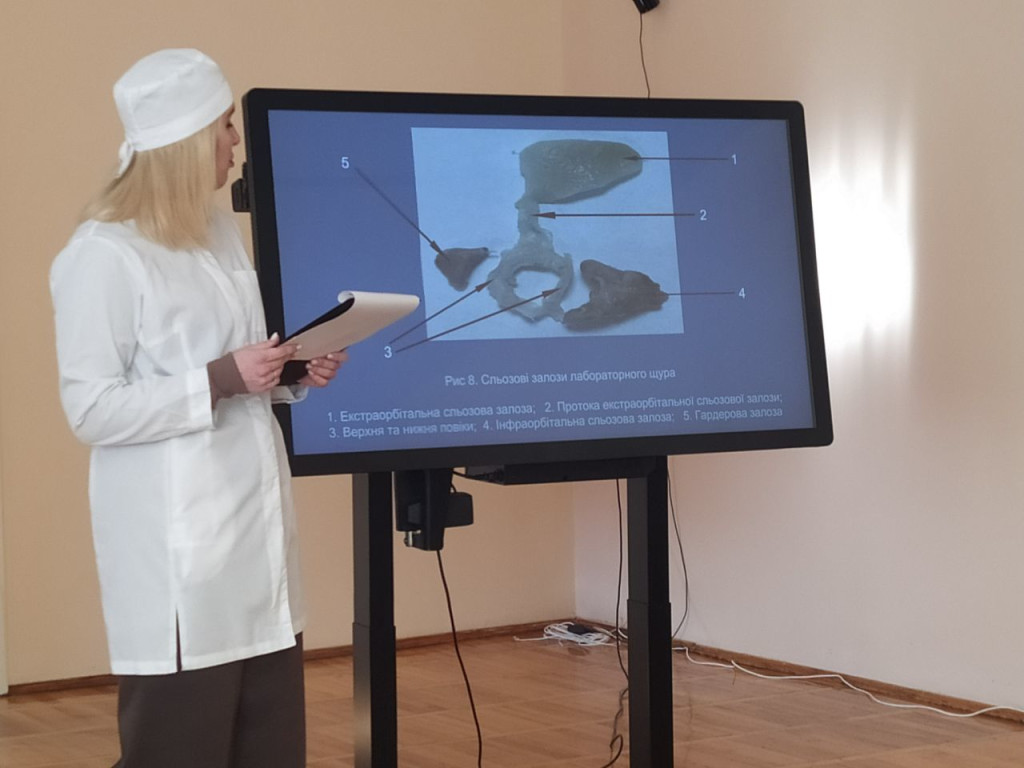 Підготовка до IMEDSCOP 2025: доповідь про препарування сльозових залоз щура