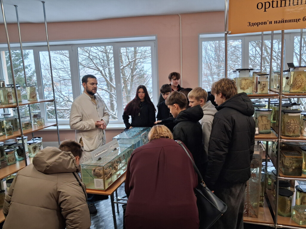 Виховна робота. Профілактика шкідливих звичок у середніх класах.