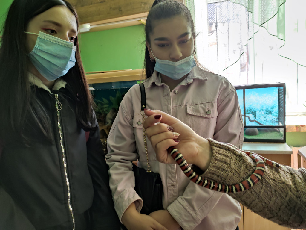 Студенти ПДМУ і брати наші менші.