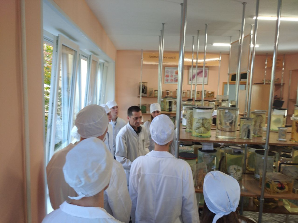Початок освітнього процесу на кафедрі анатомії людини ПДМУ