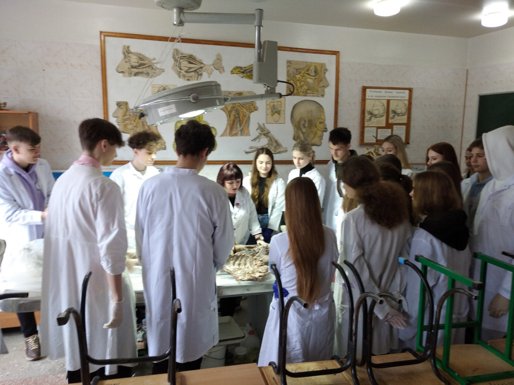 Популяризація медичної освіти серед учнівської молоді