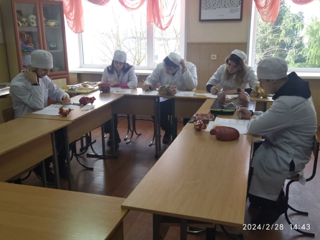 Вперше пройшов I етап Всеукраїнської студентської олімпіади  з ОК «Анатомія людини» англійською мовою!