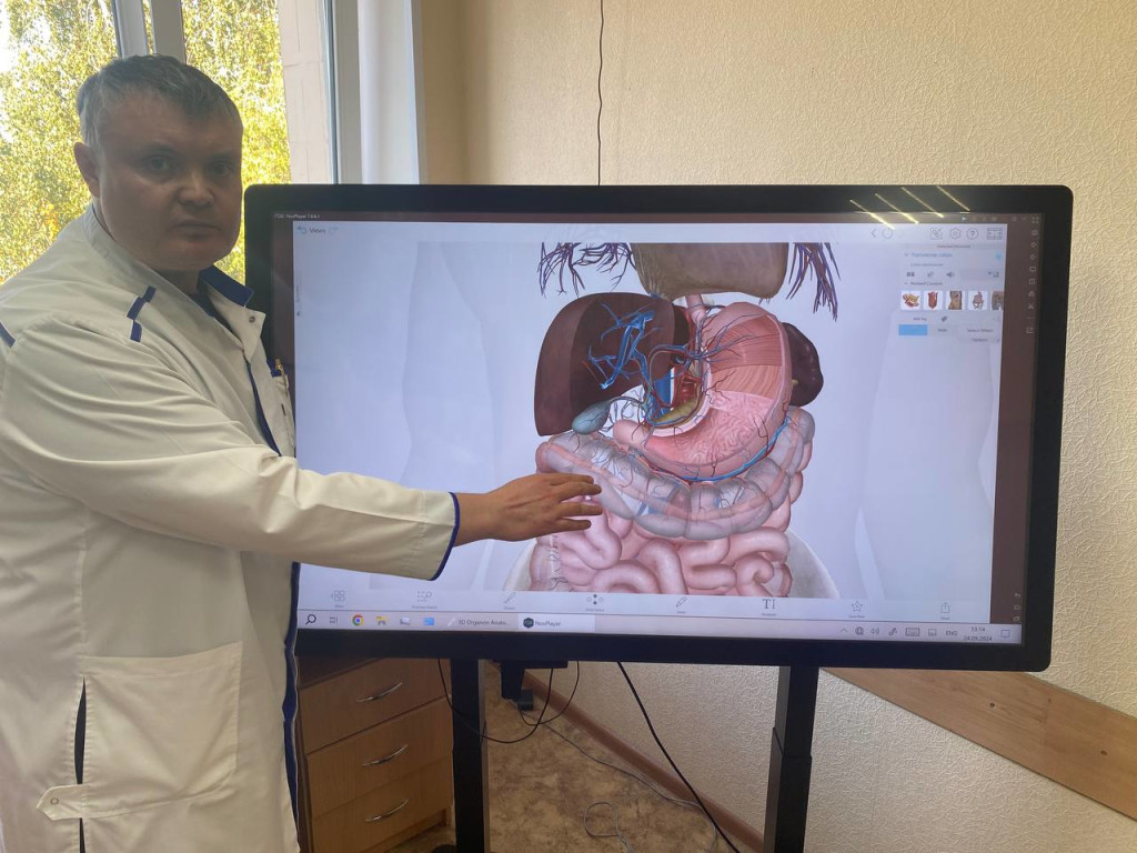 Бінарний підхід: від Анатомії до Хірургічної практики