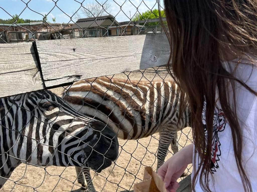 Здобувачі освіти ПДМУ в Екопарку у Ковалівці