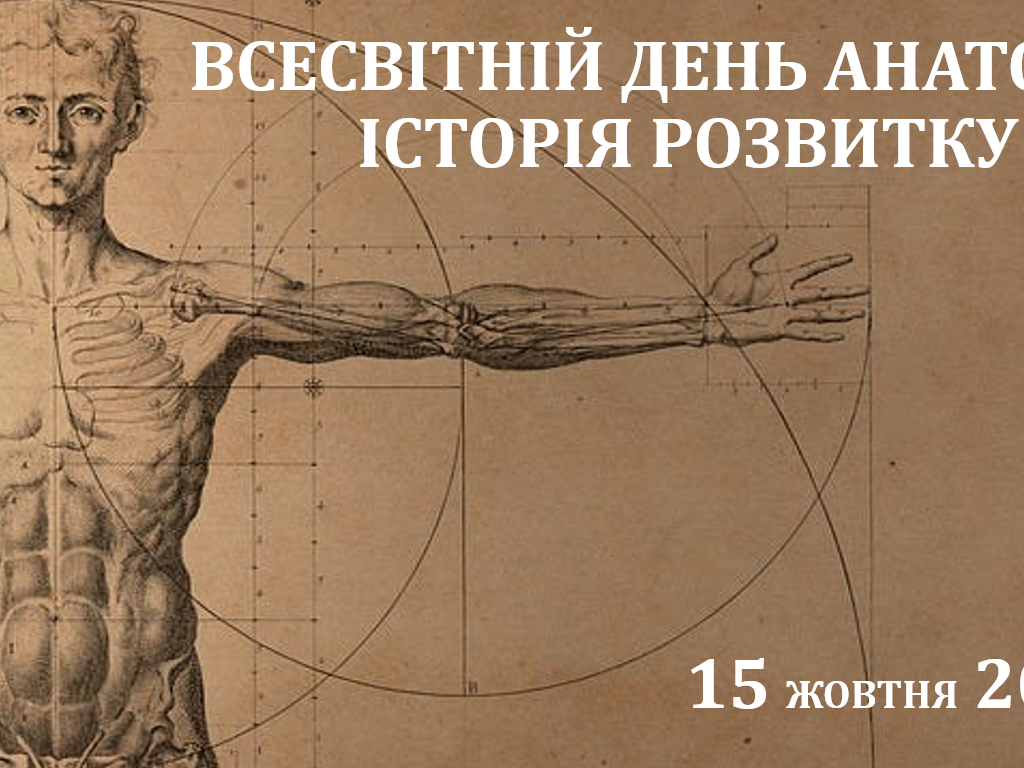 Всесвітній день анатомії: історія розвитку