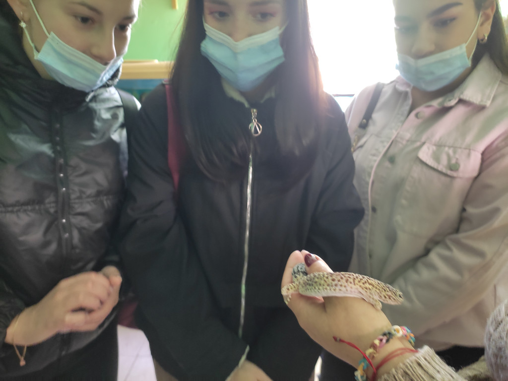 Студенти ПДМУ і брати наші менші.