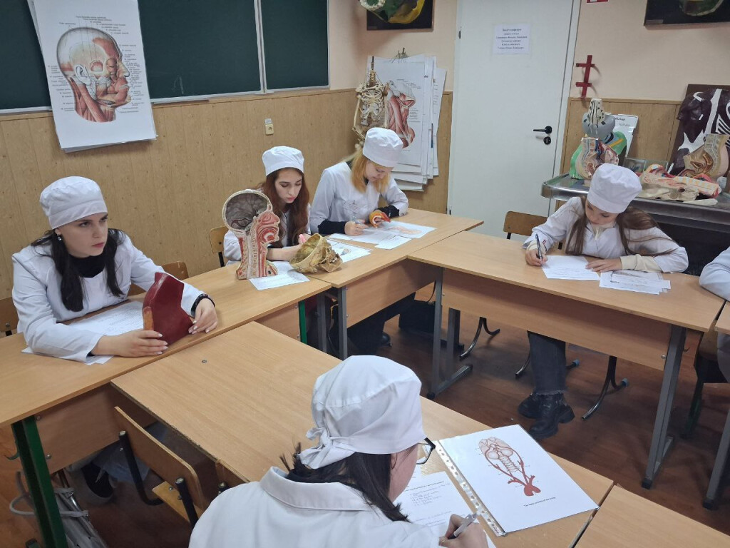 Анатомія без мовних бар’єрів: І етап Всеукраїнської студентської олімпіади англійською мовою