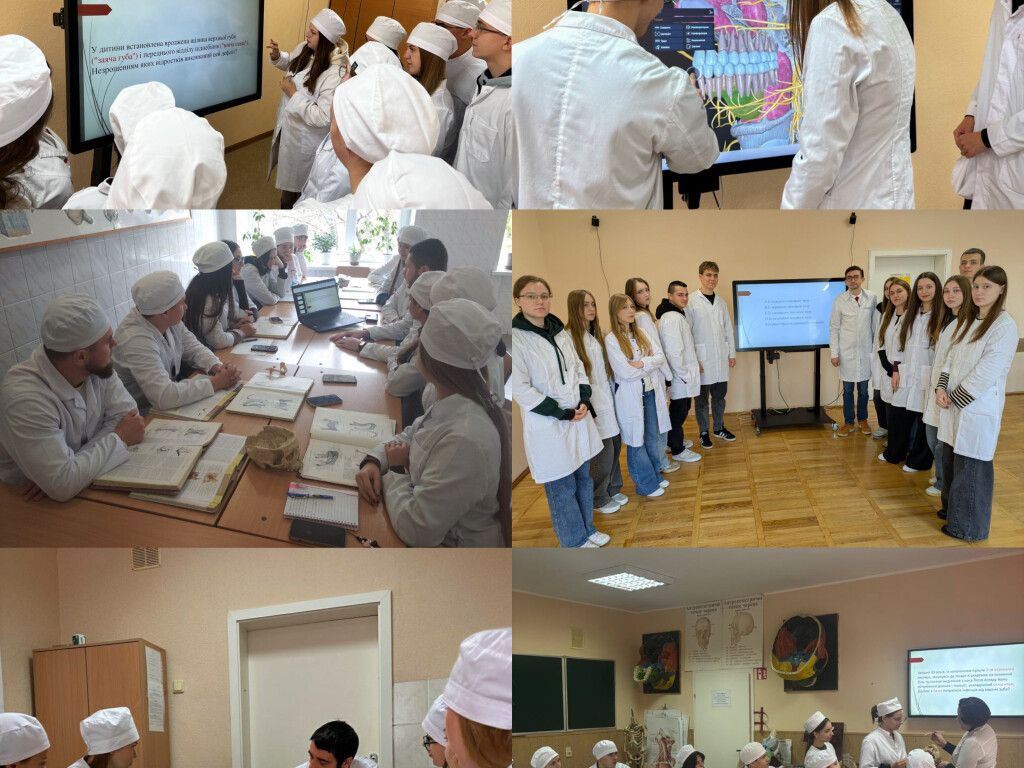 На кафедрі анатомії людини сучасні технології допомагають осягати глибини знань