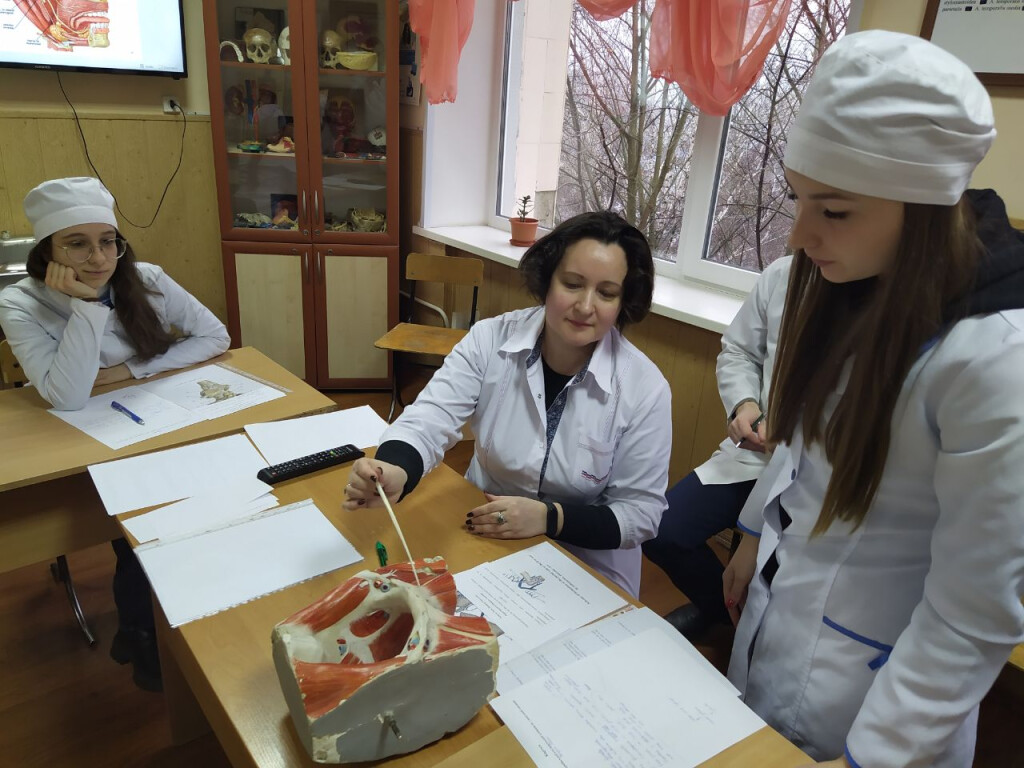 Анатомія без мовних бар’єрів: І етап Всеукраїнської студентської олімпіади англійською мовою