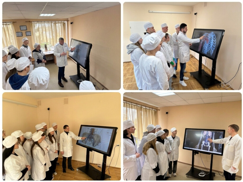 Аспекти венозного відтоку: практична підготовка майбутніх стоматологів на кафедрі анатомії людини