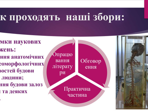 Студентський науковий гурток кафедри
