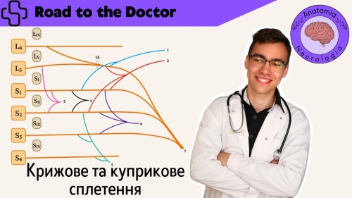 Відіотека.