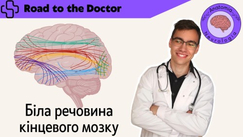 Відіотека.