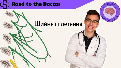 Відіотека.