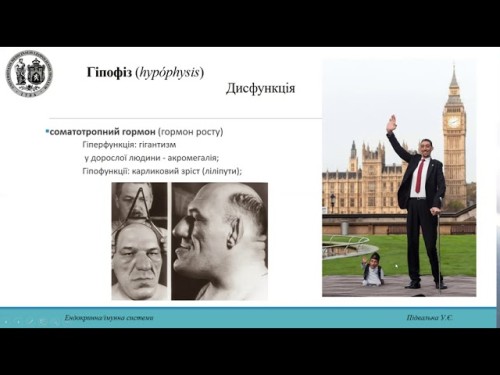 Відіотека.