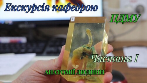 Відеофайли кафедри