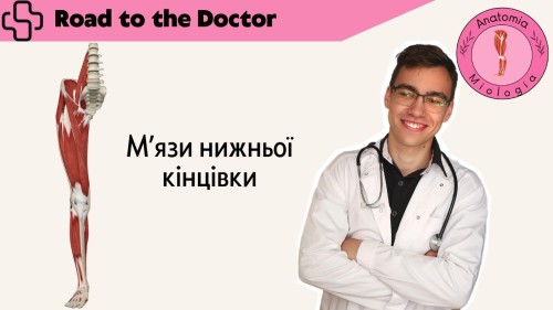 Відіотека.