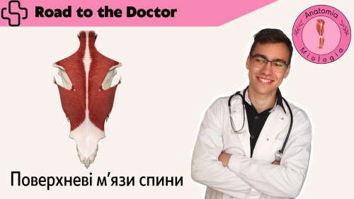 Відіотека.