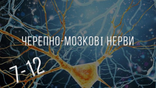 Відіотека.
