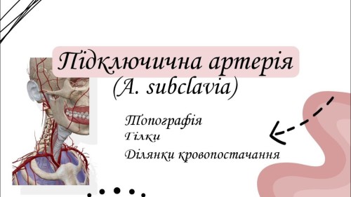 Відіотека.