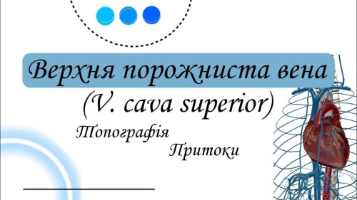 Відіотека.