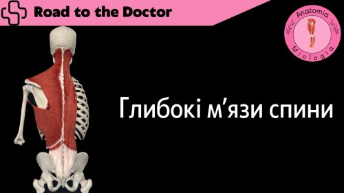 Відіотека.