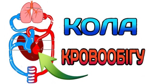 Відіотека.