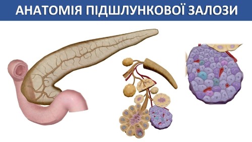 Відіотека.