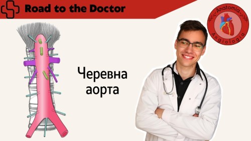 Відіотека.