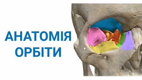 Відіотека.