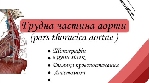 Відіотека.