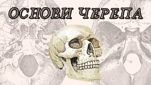 Відіотека.