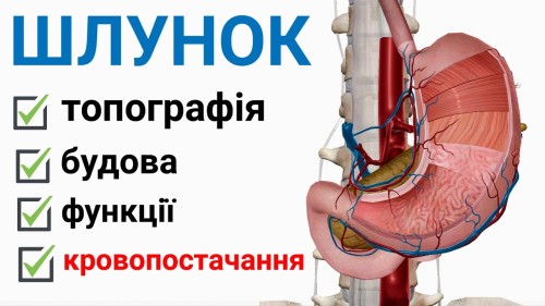 Відіотека.