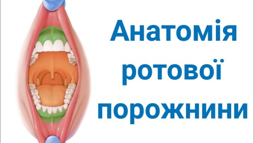 Відіотека.
