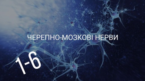 Відіотека.