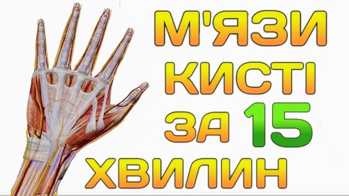 Відіотека.