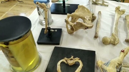 Відеотека кафедри