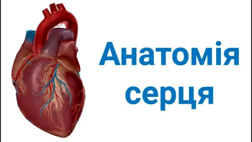 Відіотека.