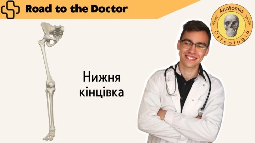 Відіотека.