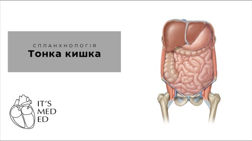 Відіотека.